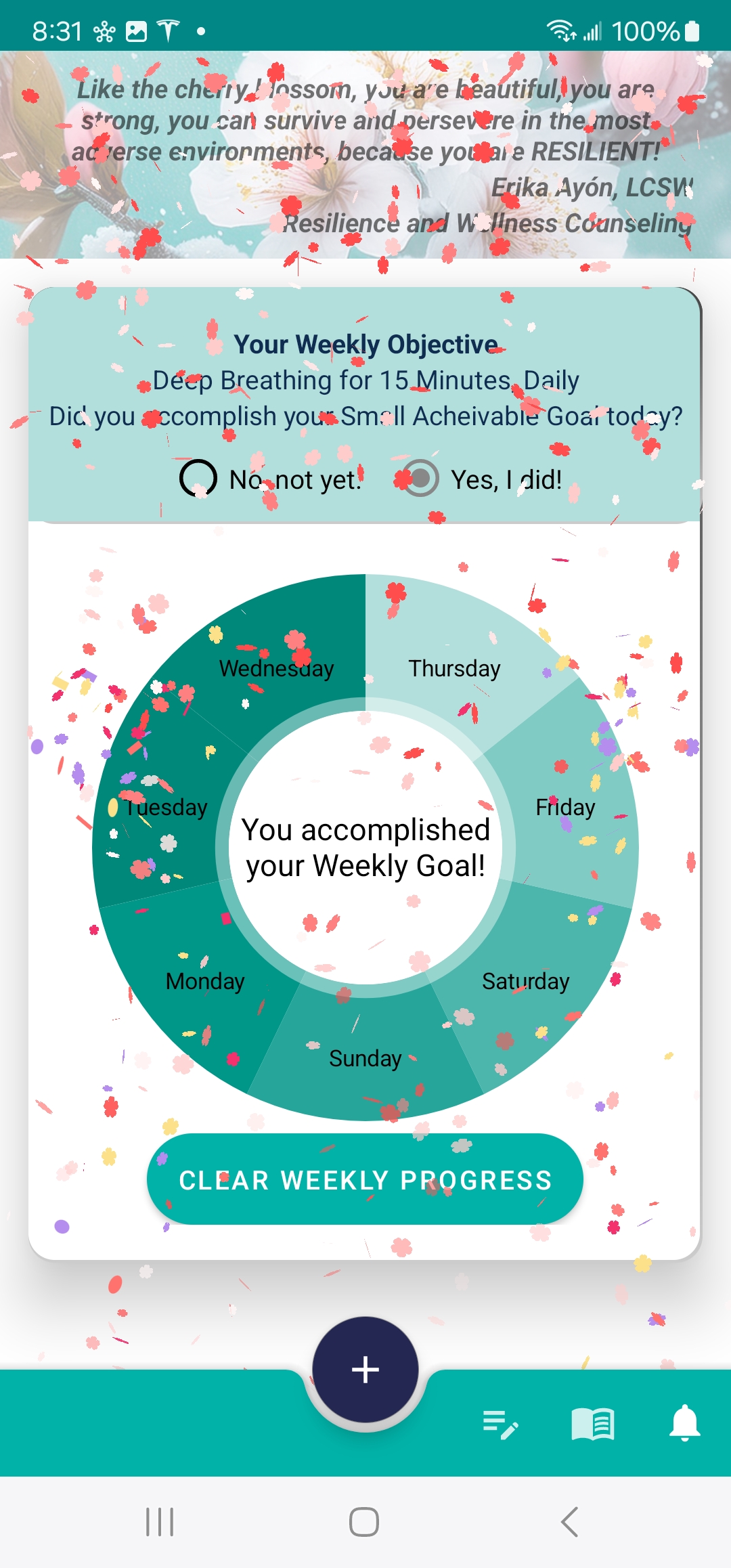 Screenshot of goal tracking feature